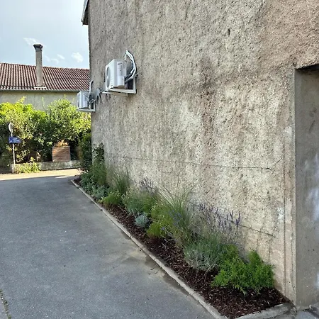 Du Chemin Metz Et St Jacques Daire
